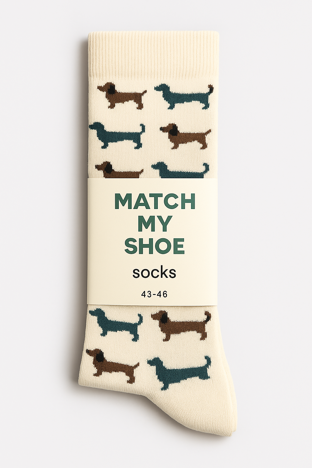 Socke Dachshund